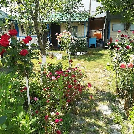 Camping Casuta Mihaela Crisan  Exteriér fotografie