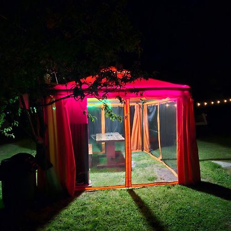Camping Casuta Mihaela Crisan  Exteriér fotografie