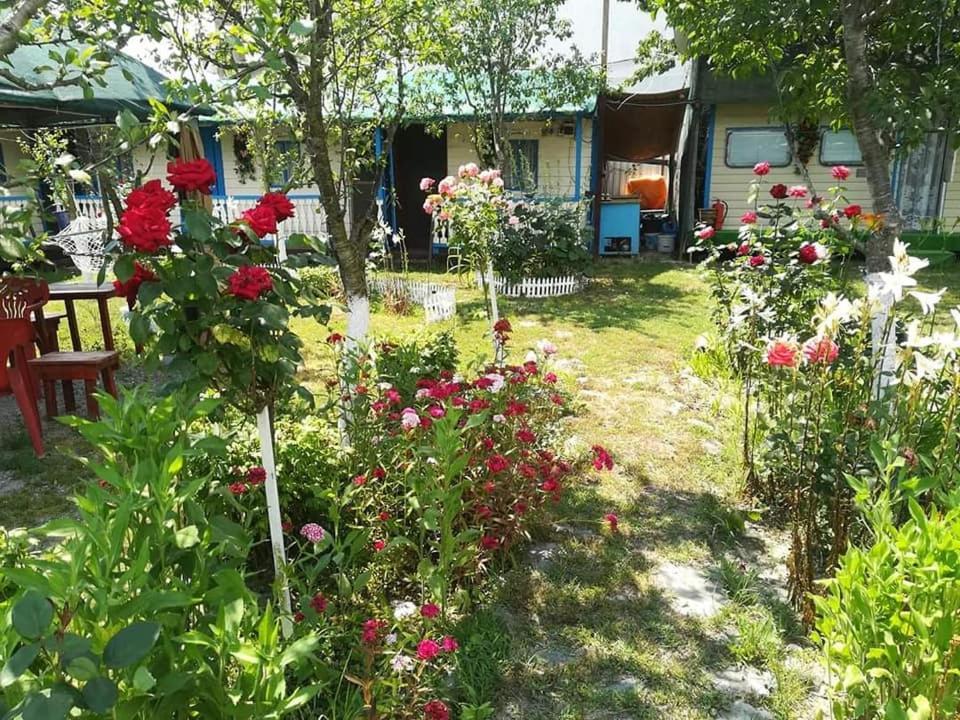 Camping Casuta Mihaela Crisan  Exteriér fotografie