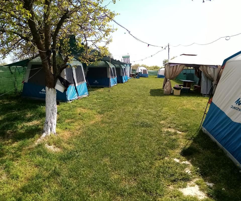 Camping Casuta Mihaela Crisan  Exteriér fotografie