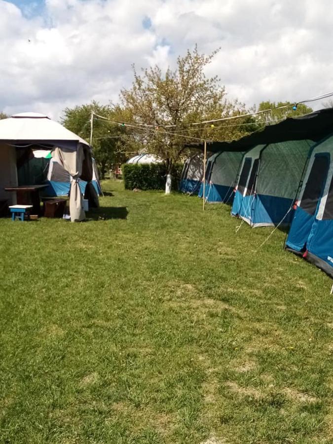 Camping Casuta Mihaela Crisan  Exteriér fotografie