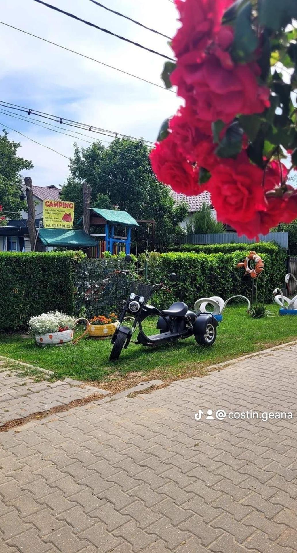 Camping Casuta Mihaela Crisan  Pokoj fotografie