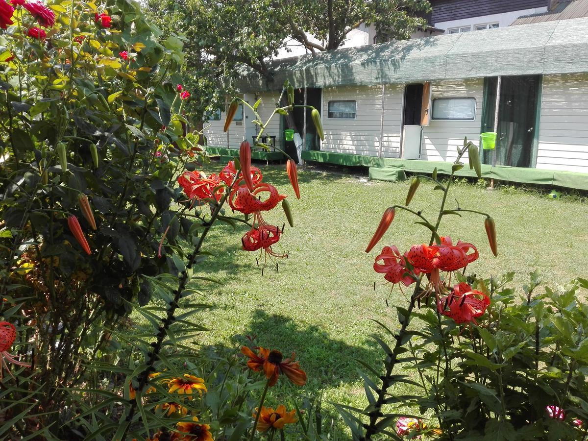 Camping Casuta Mihaela Crisan  Exteriér fotografie