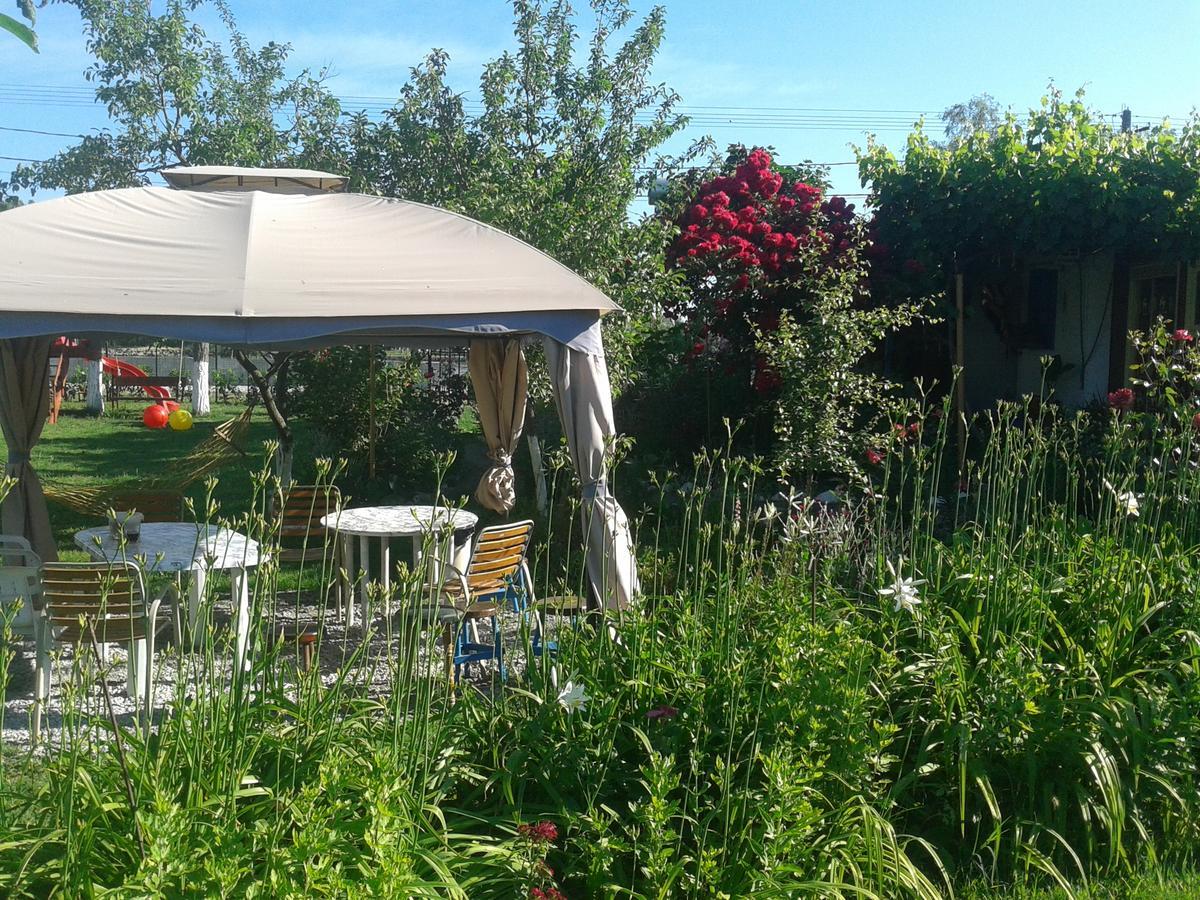 Camping Casuta Mihaela Crisan  Exteriér fotografie