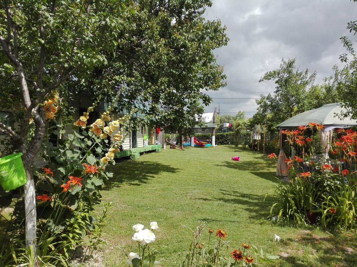 Camping Casuta Mihaela Crisan  Exteriér fotografie