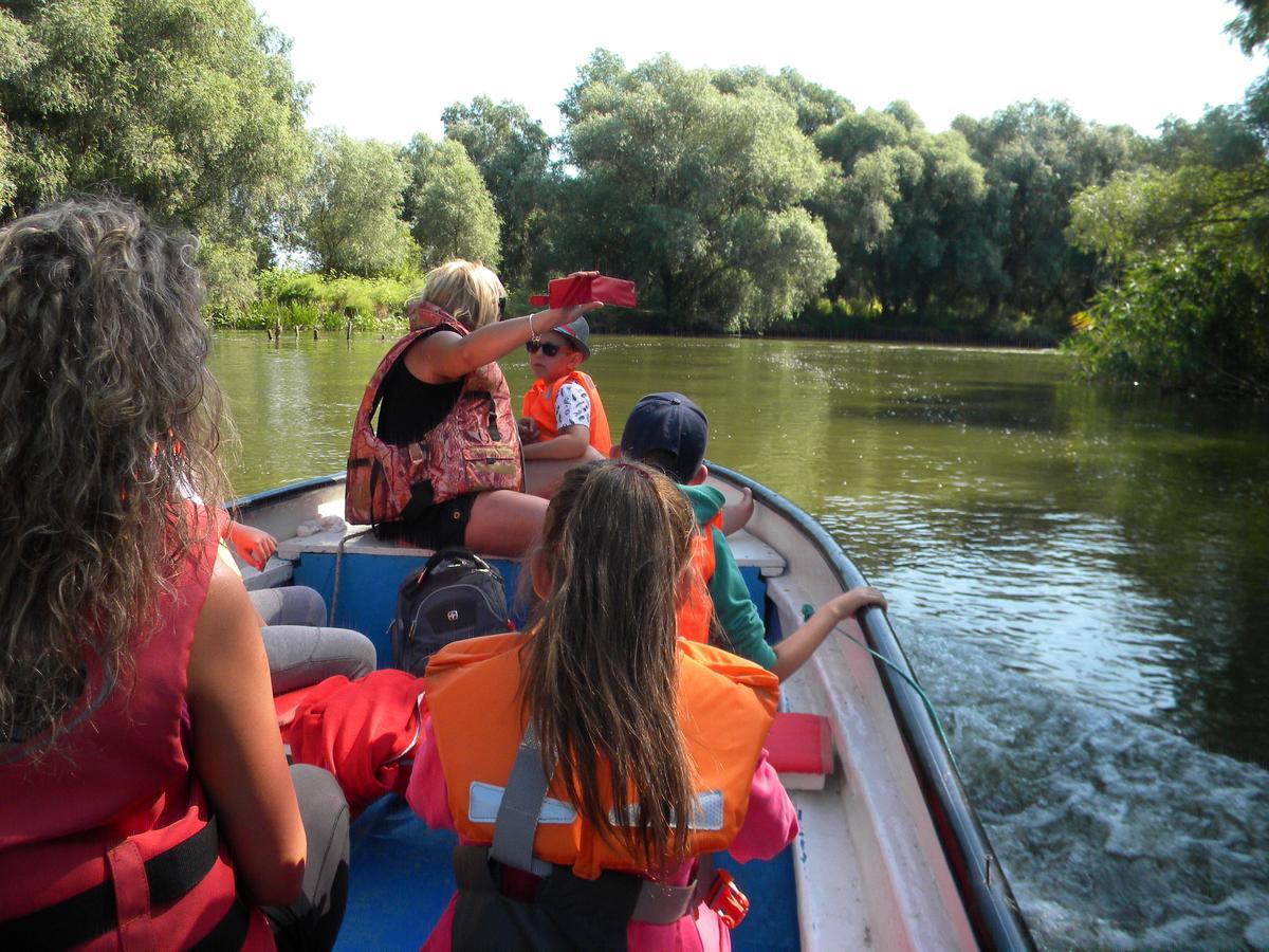Camping Casuta Mihaela Crisan  Exteriér fotografie