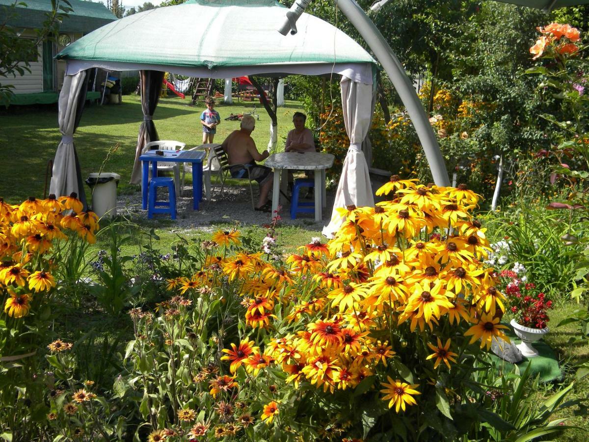 Camping Casuta Mihaela Crisan  Exteriér fotografie